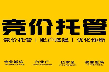 某品牌通过SEM关键词实现品牌推广的实战案例